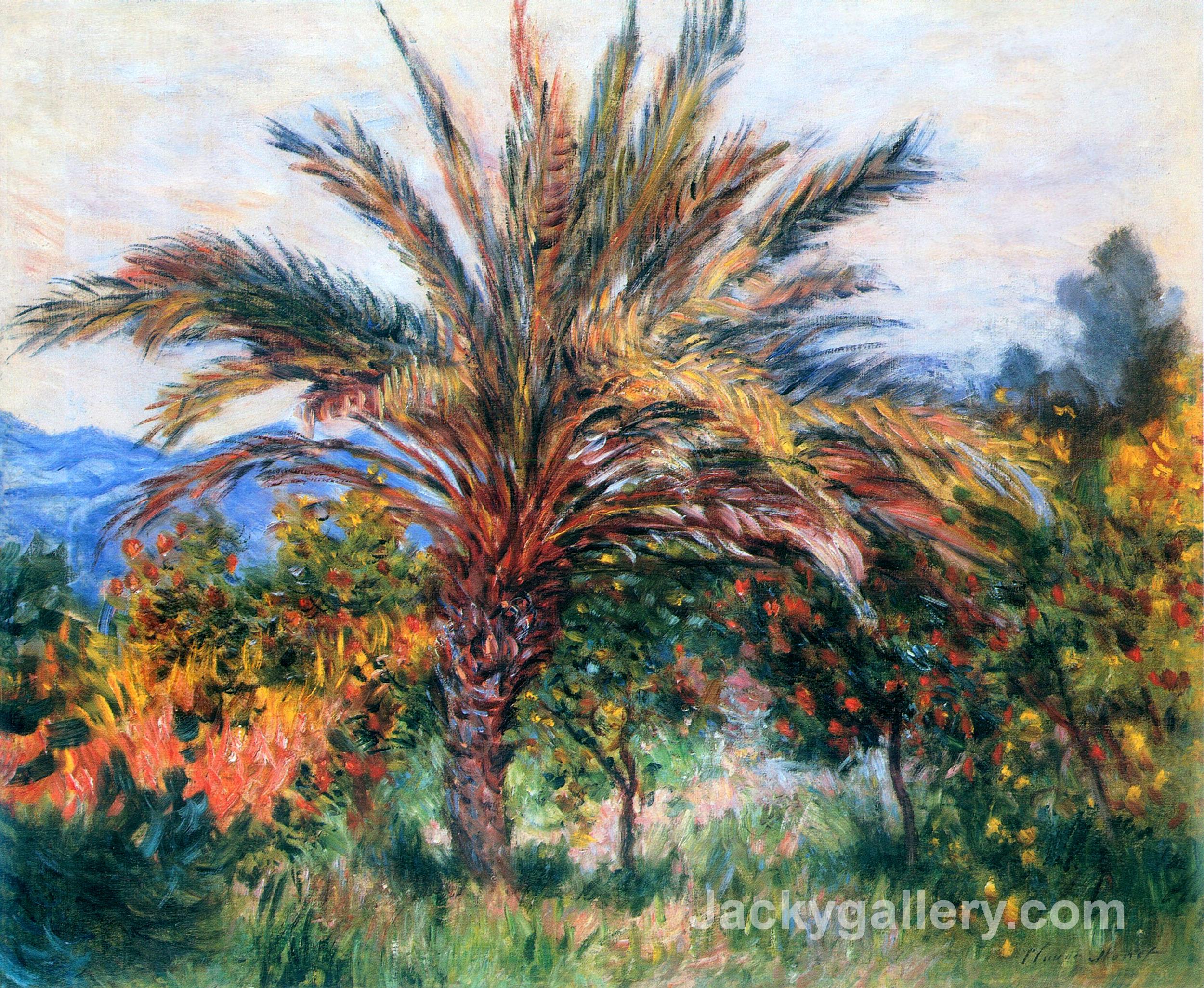 Palm Tree at Bordighera by Claude Monet paintings reproduction
